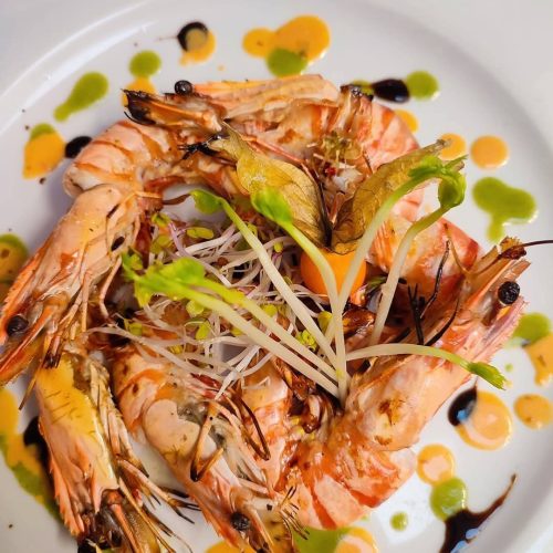 WhatsApp Image 2025-07-26 at 14.18.07